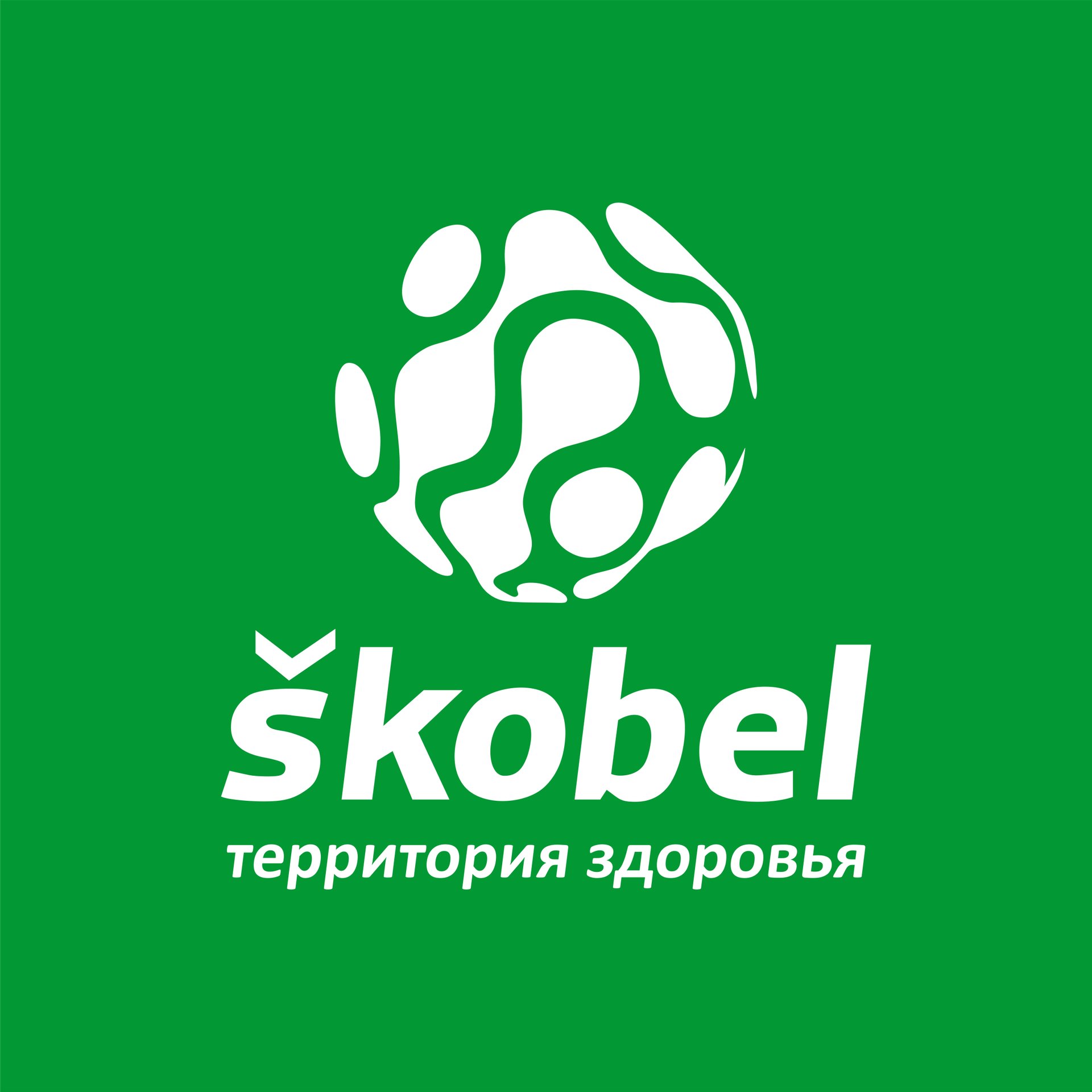 Иконка канала Фабрика Здоровья Skobel