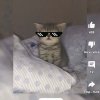 Иконка канала Роблоксия