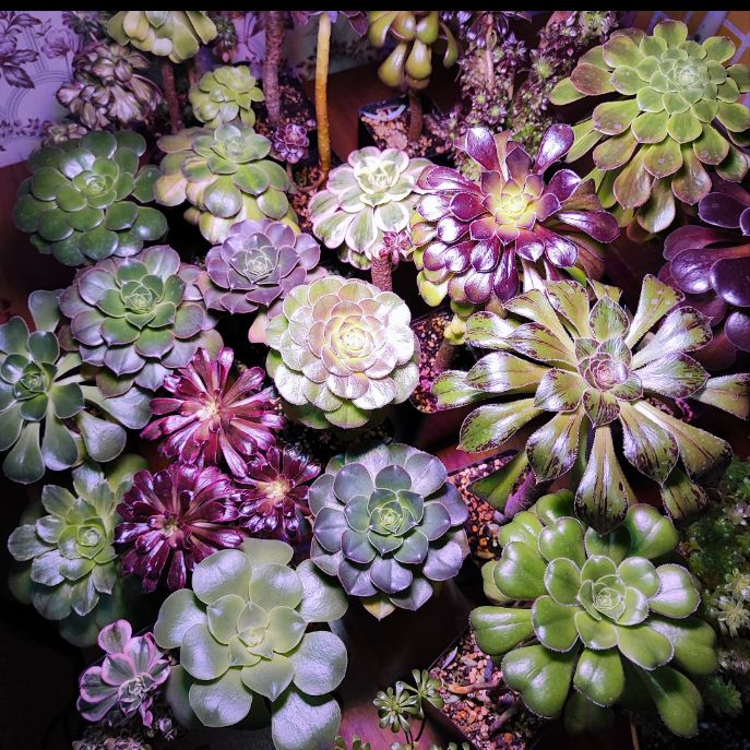 Иконка канала TanyaTereh