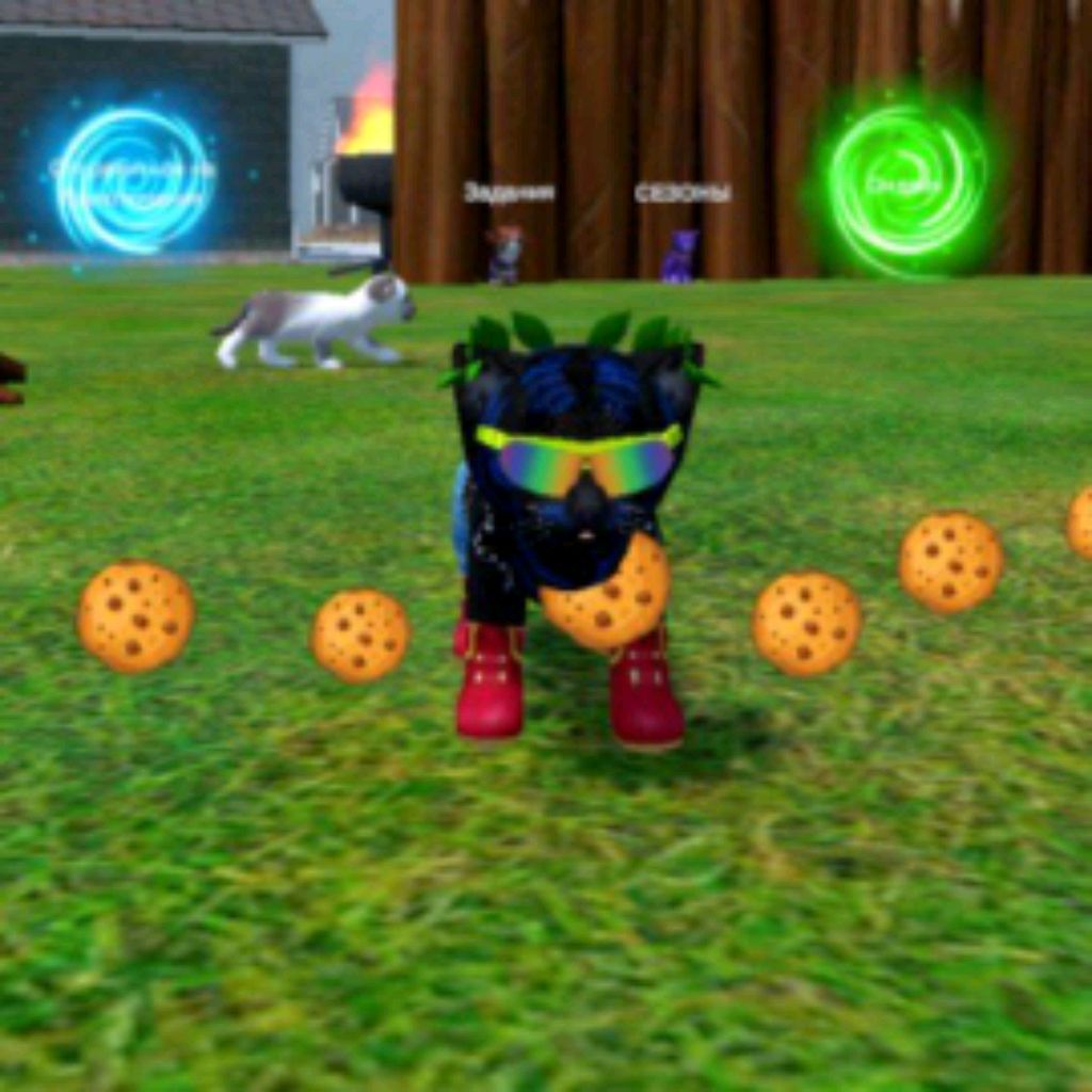 Аватар автора