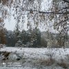 Иконка канала Золотой кароль вернулся