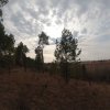 Иконка канала LeoSpilbergg