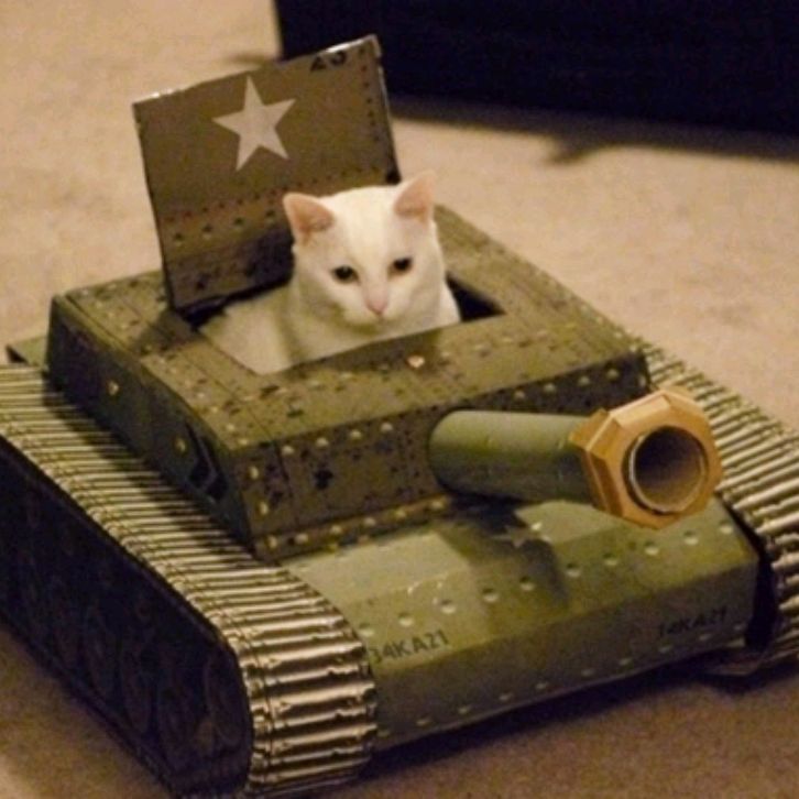 Иконка канала CAT_games