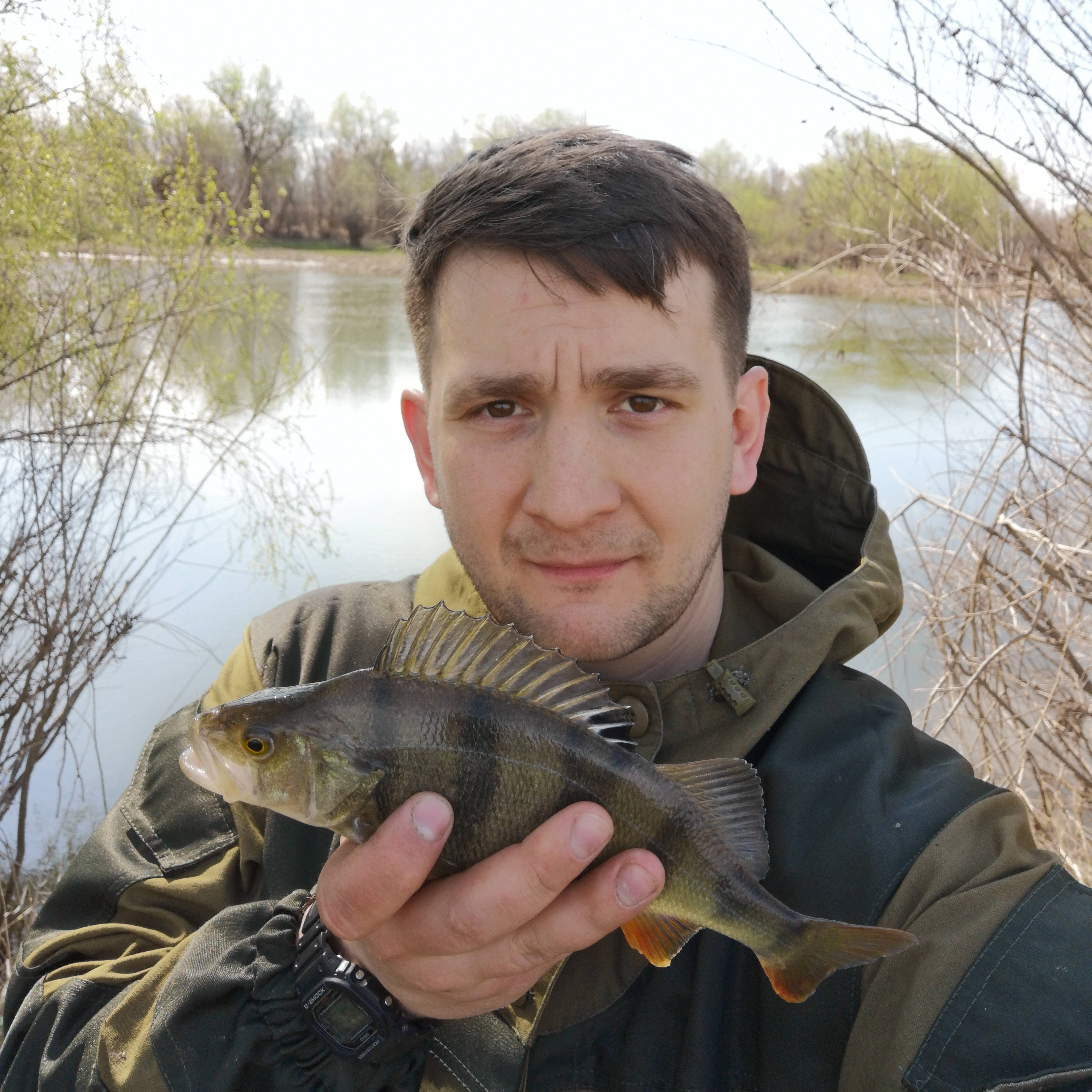 Аватар автора