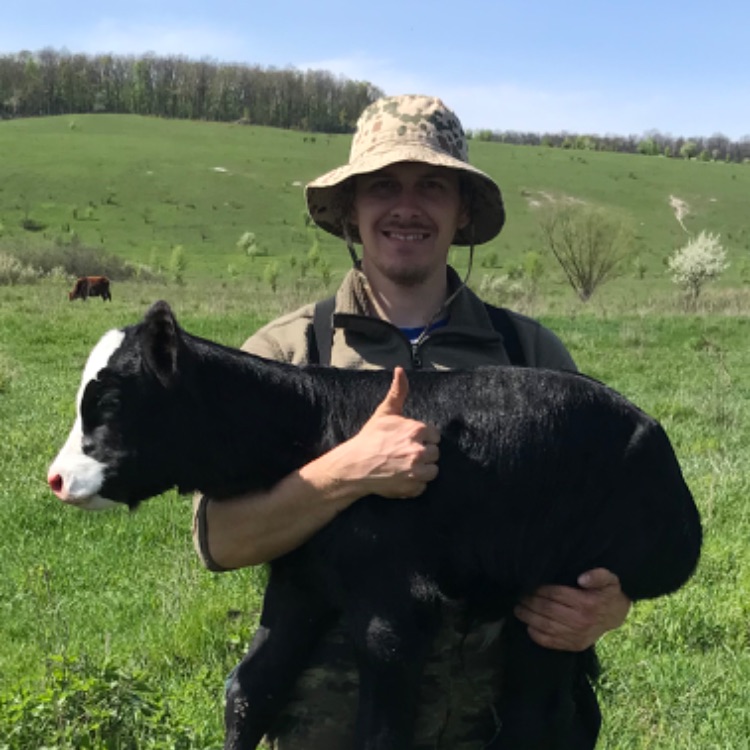 Аватар автора