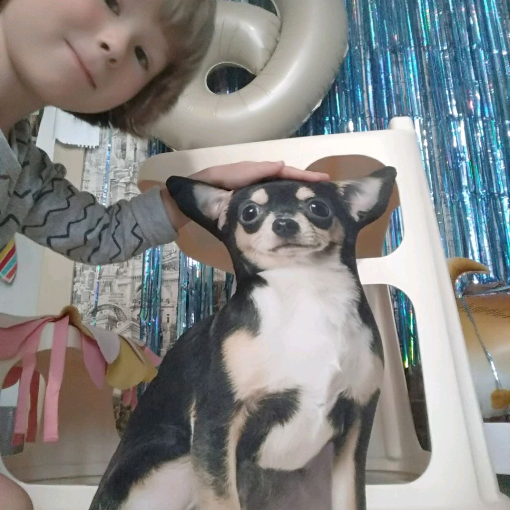 Аватар автора