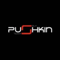 Иконка канала Pushkin Fly Team