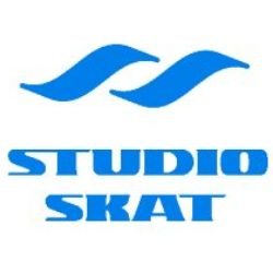 Иконка канала Studio Skat