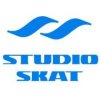 Иконка канала Studio Skat