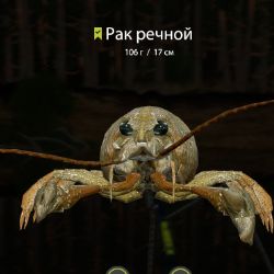 Аватар