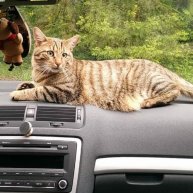 Иконка канала Стихи, которые хочется слушать...