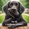 Иконка канала Денис Малков 142314