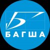 Иконка канала bagsha