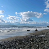 Иконка канала Дикая Хиппи