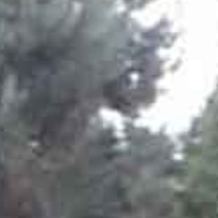 Ландшафтный дизайн. Озеленение. Благоустройство.