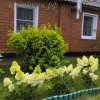 Иконка канала Питомник Крапивиных