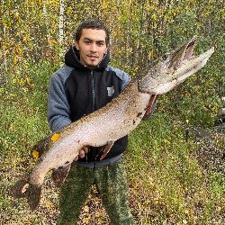 Иконка канала Данил Сопочин