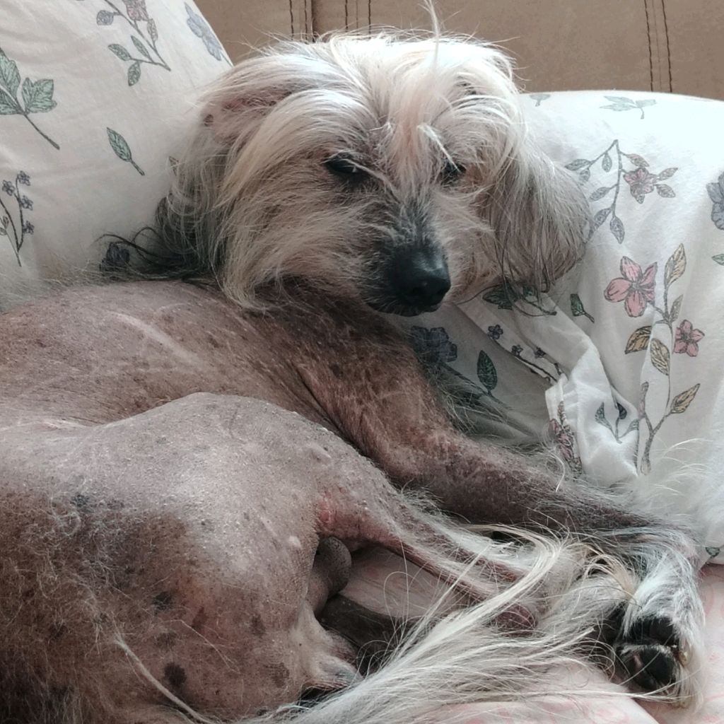 Иконка канала Vaness86