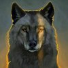 Иконка канала Black WolF