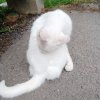 Иконка канала Реальная жизнь Артëма