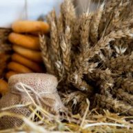 Иконка канала Благодать Лабинск