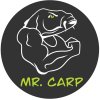 Иконка канала Mr.Carp