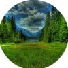 Иконка канала @dm-projekt