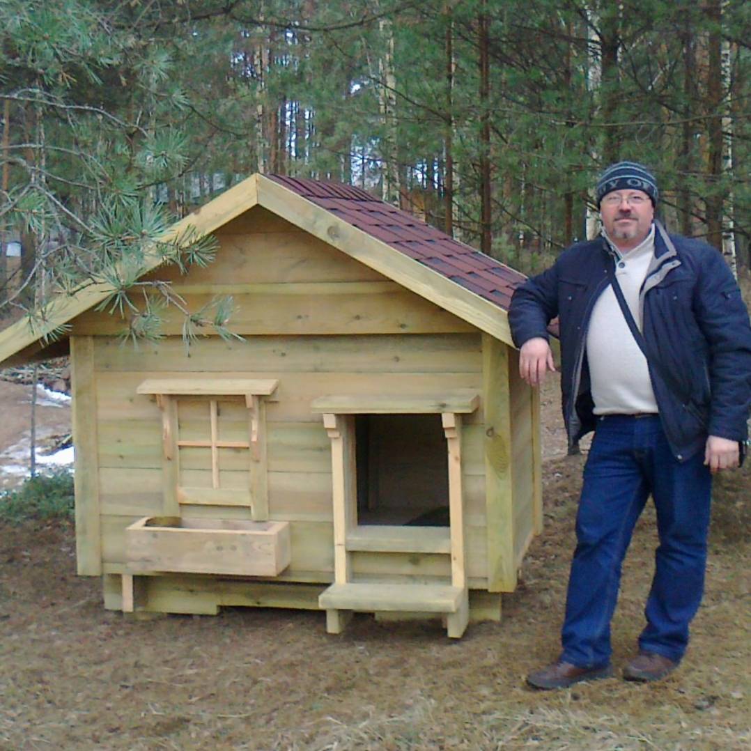 Аватар автора