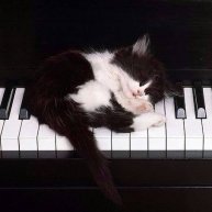 Иконка канала AVK-Music