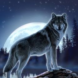 Иконка канала Вольчанин 64RUS