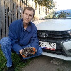 Аватар автора