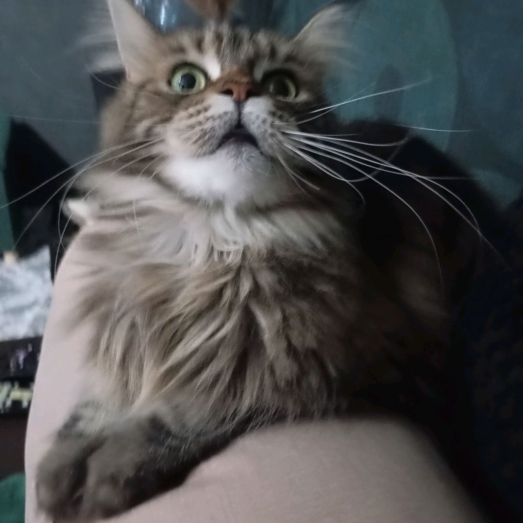 Аватар автора