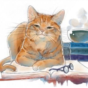 Аватар автора