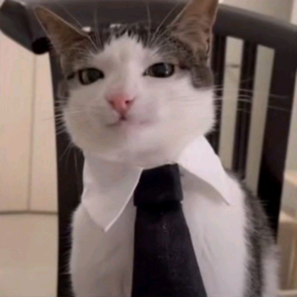 Иконка канала Never Catツ