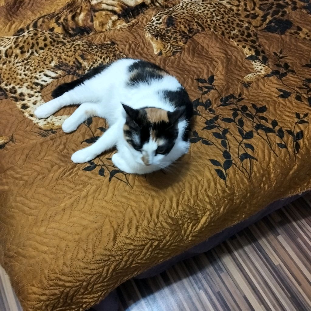 Аватар