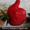 Иконка канала Самарка