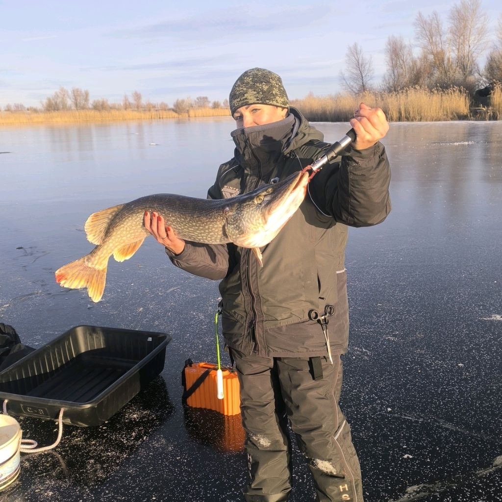 Иконка канала «Где шумит камыш»