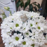 Иконка канала ArSig