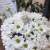 Иконка канала ArSig