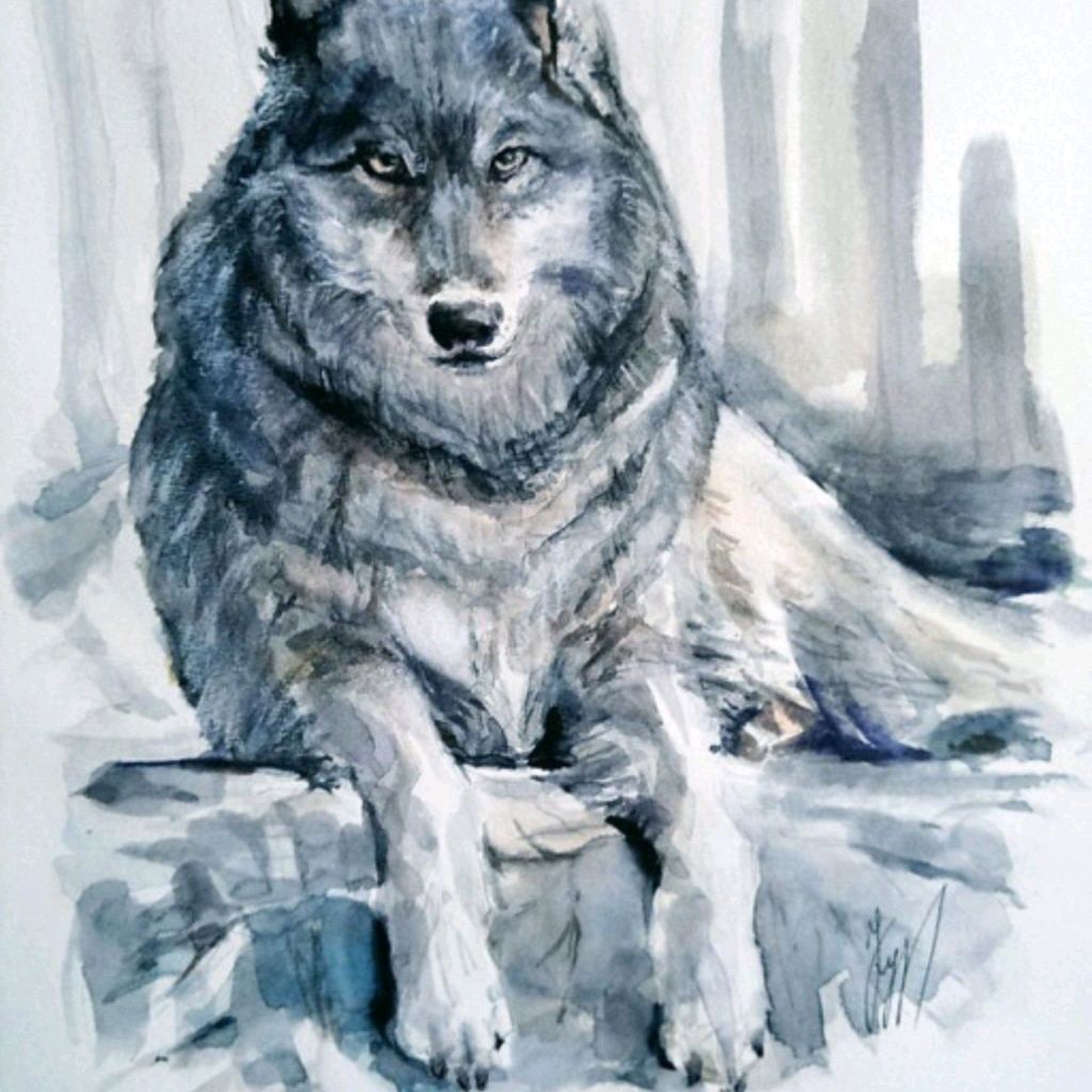 Иконка канала Lupus