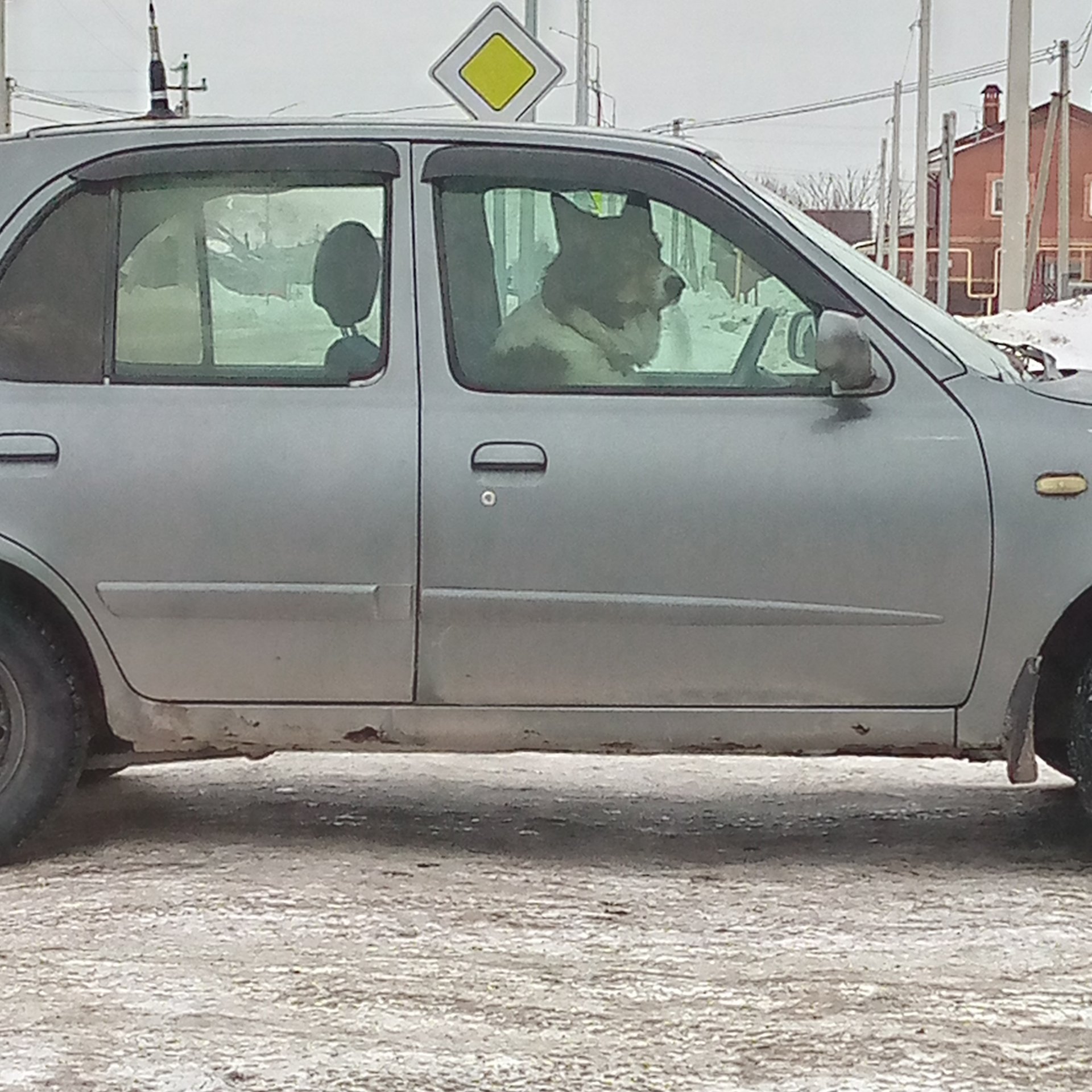 Аватар автора