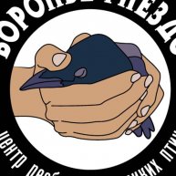 Иконка канала Центр реабилитации «Воронье Гнездо»
