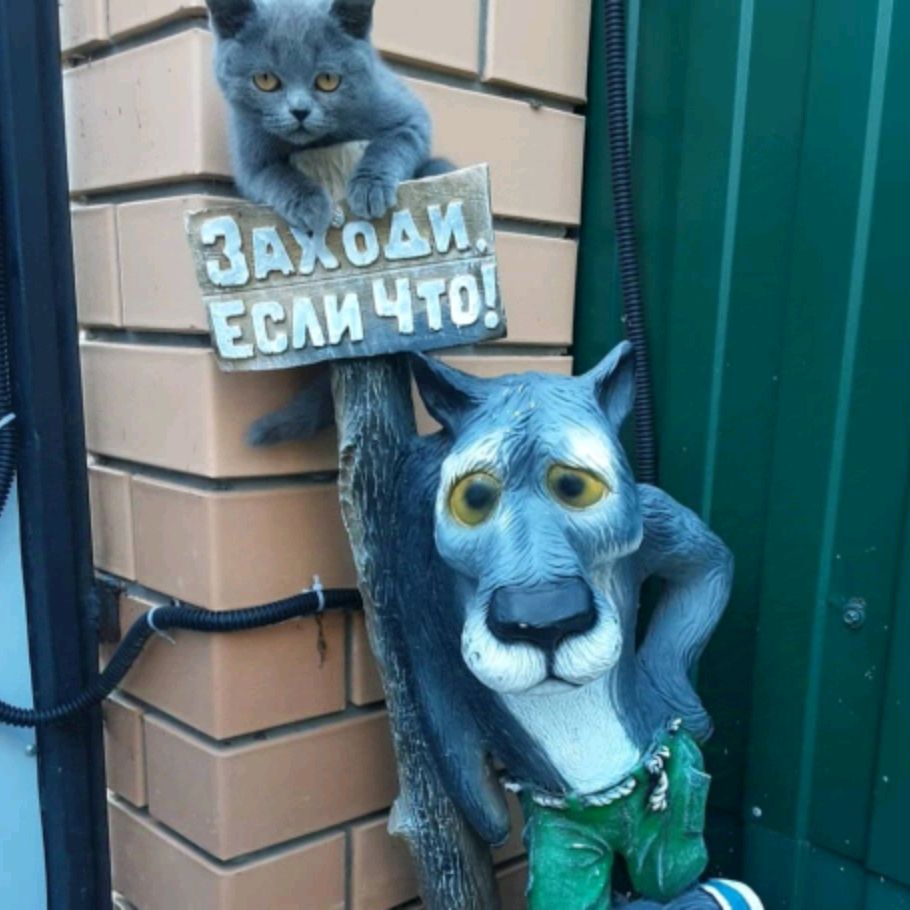 Аватар автора