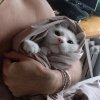 Иконка канала ТишКа