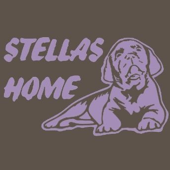 Иконка канала Питомник STELLA’S HOME лабрадоры и испанская водя