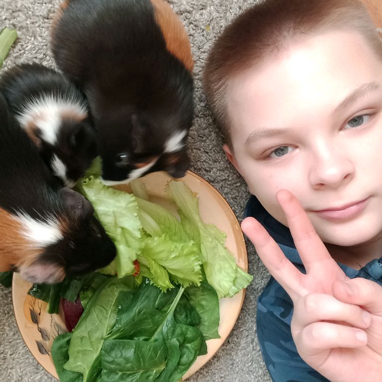 Аватар автора