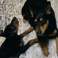 Иконка канала Обо всём...