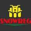 Иконка канала Снежный Регион