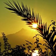 Иконка канала Видеоканал сайта для паломников ПУТЕВЕД.РФ