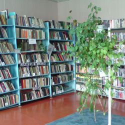 Иконка канала МКУК "МБЧР" Библиотека села Алёхино